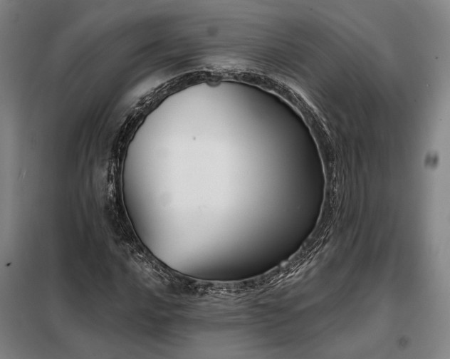 X0000098211016200805011205
