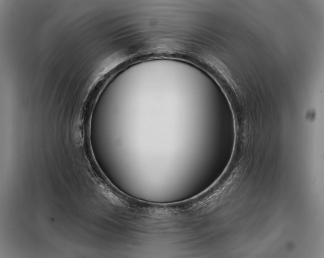 X0000098211018200805011205
