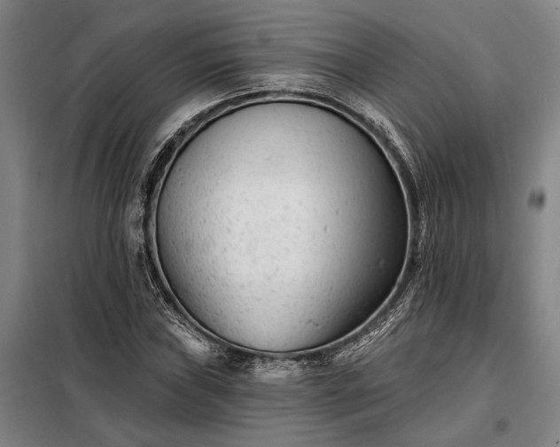 X0000098211019200805011206