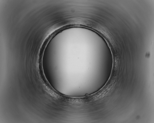 X0000098211020200805011206