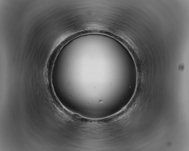 X0000098211022200805011206