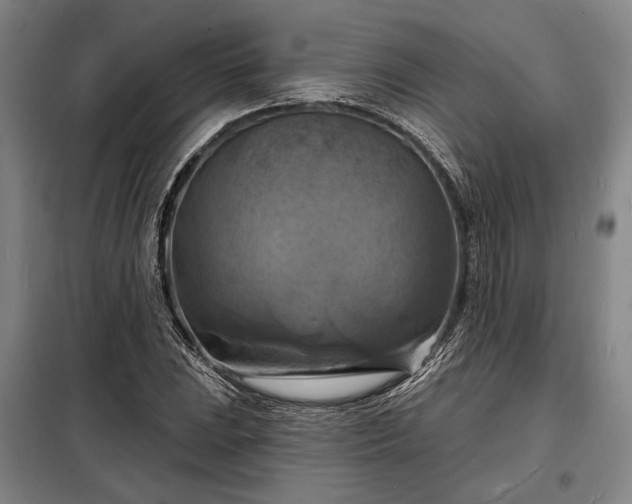 X0000098211023200805011206