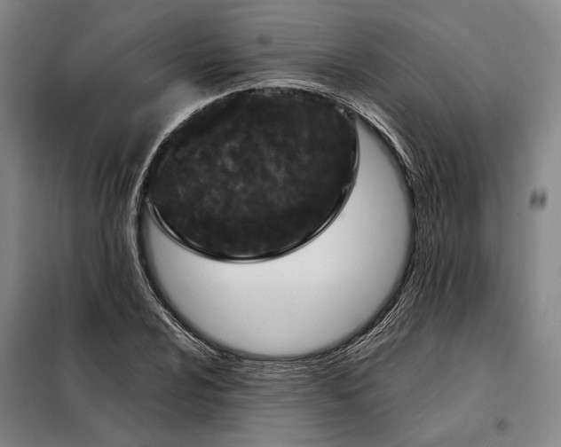 X0000098211024200805011206