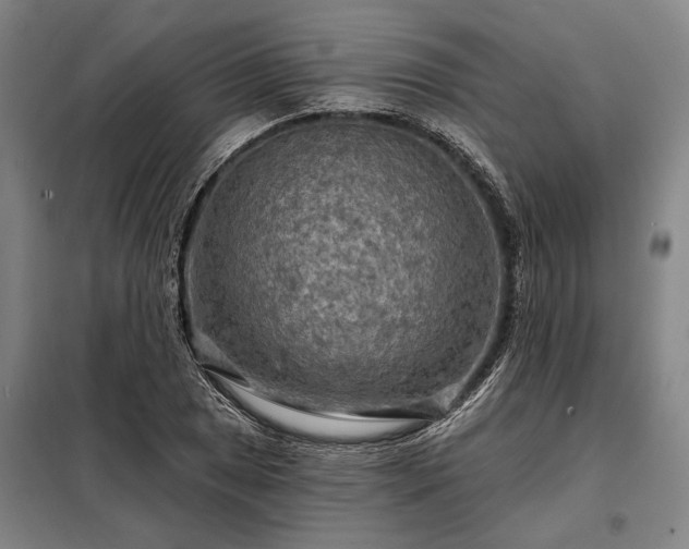 X0000098211025200805011206