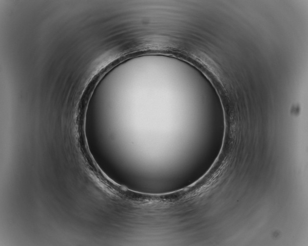 X0000098211026200805011206