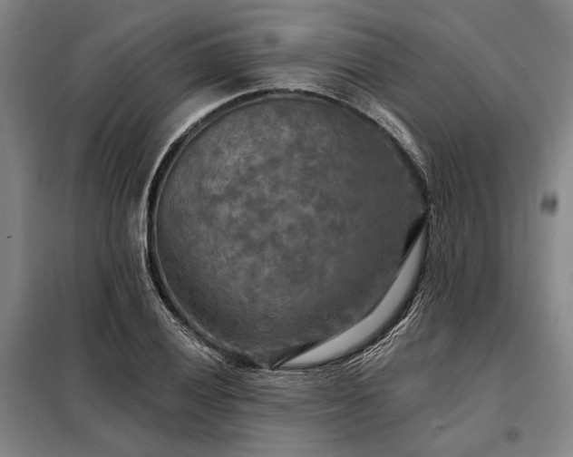 X0000098211028200805011206