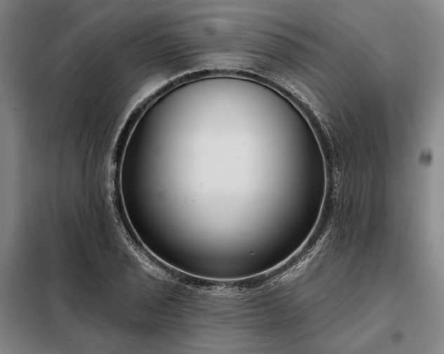 X0000098211029200805011206