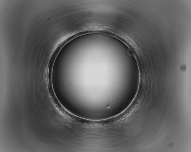 X0000098211030200805011206