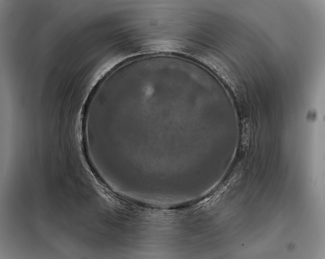 X0000098211031200805011206