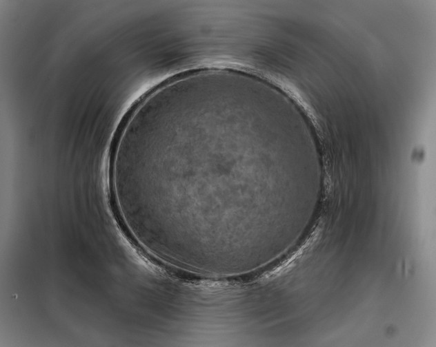 X0000098211032200805011206