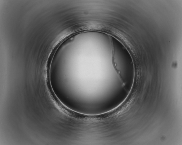 X0000098211034200805011206