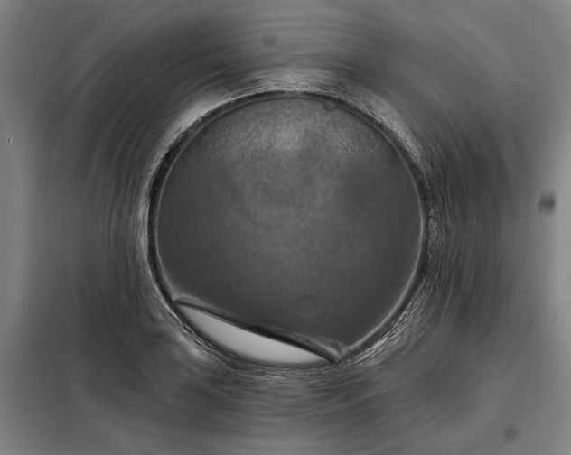 X0000098211035200805011206