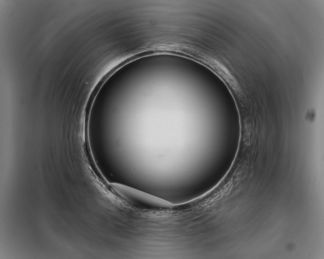 X0000098211036200805011206