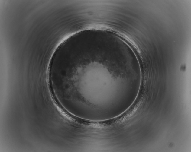 X0000098211037200805011206