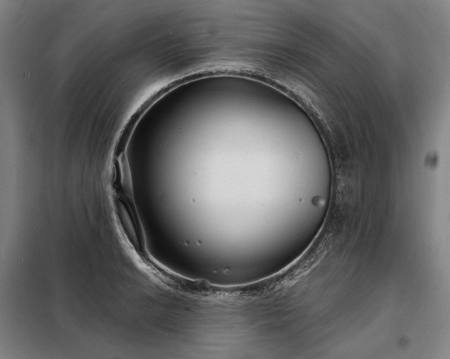 X0000098211038200805011206