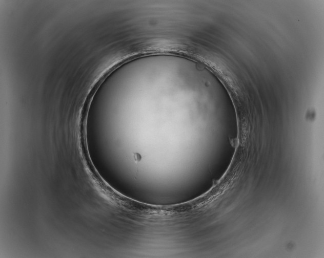 X0000098211039200805011206