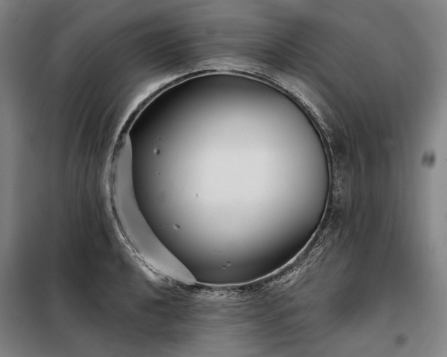 X0000098211040200805011206