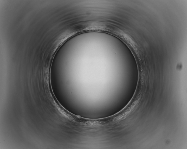 X0000098211041200805011206