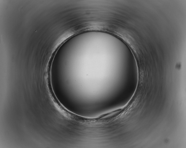 X0000098211042200805011206