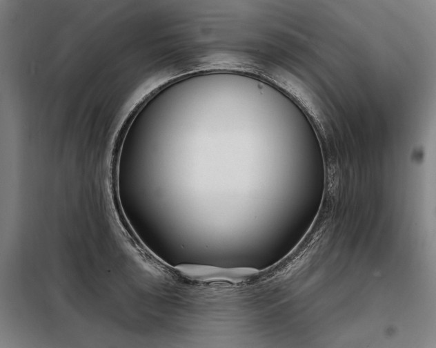 X0000098211043200805011206