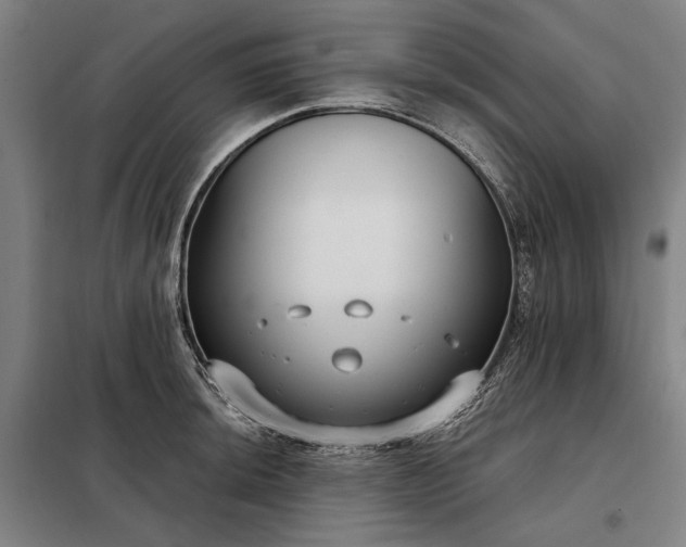 X0000098211044200805011206