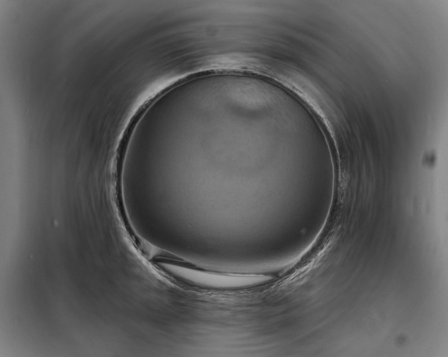 X0000098211045200805011206