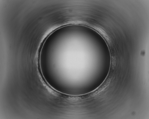 X0000098211046200805011206