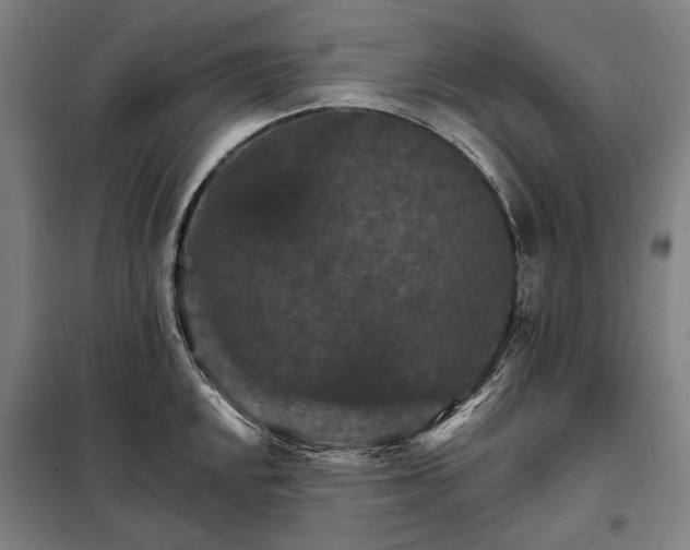 X0000098211048200805011206