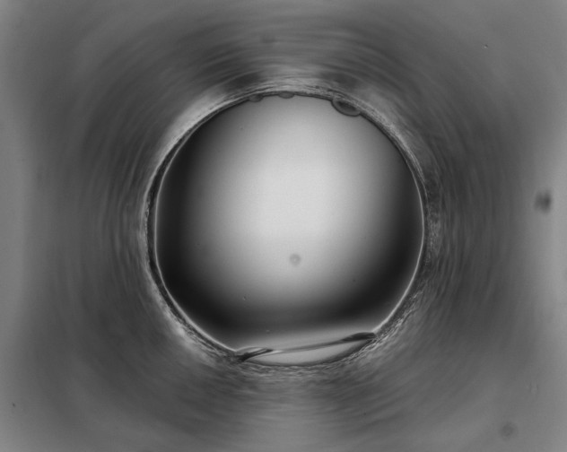 X0000098211050200805011206