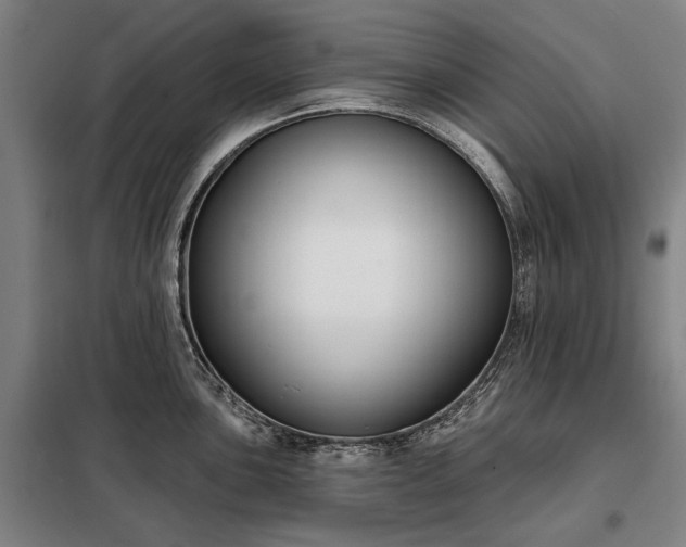 X0000098211051200805011206