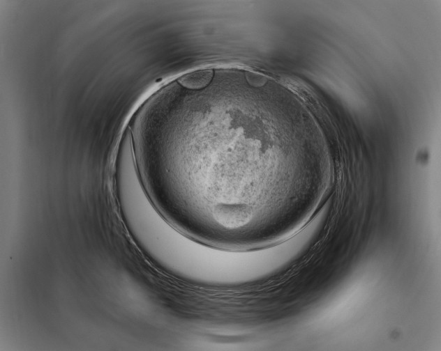 X0000098211052200805011206