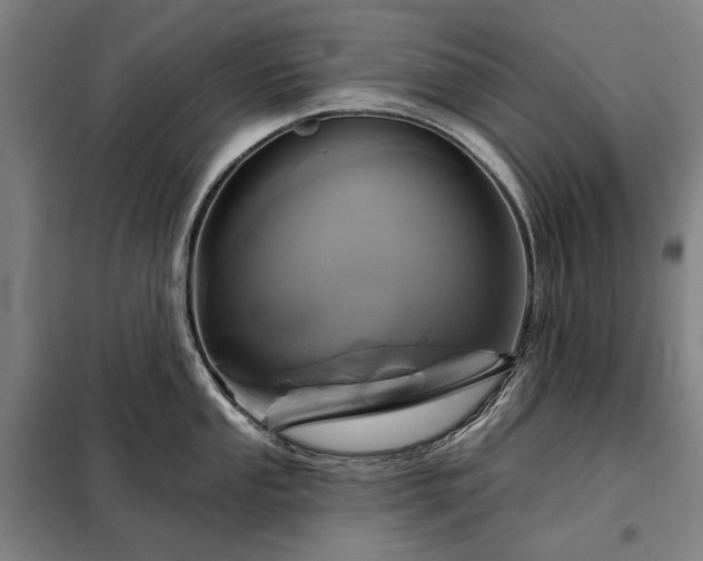 X0000098211053200805011206