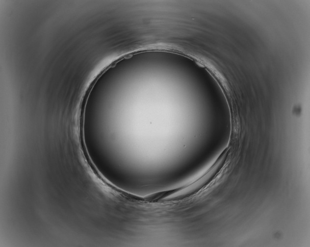 X0000098211054200805011206