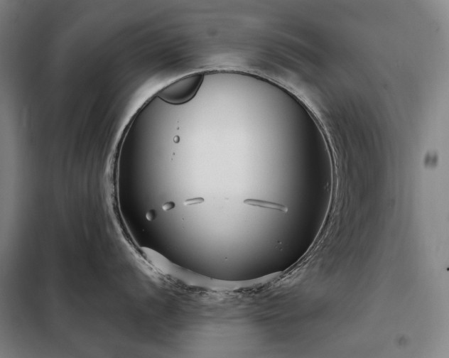 X0000098211056200805011206