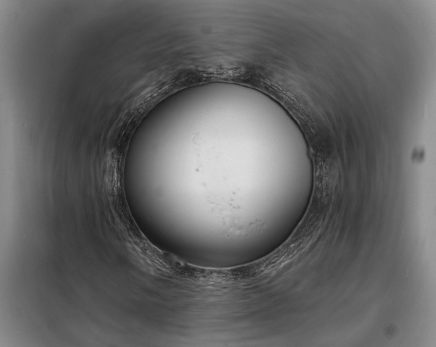 X0000098211058200805011205