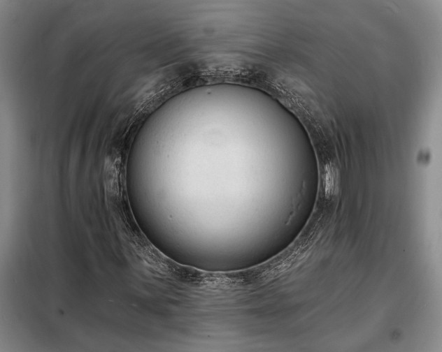 X0000098211059200805011205