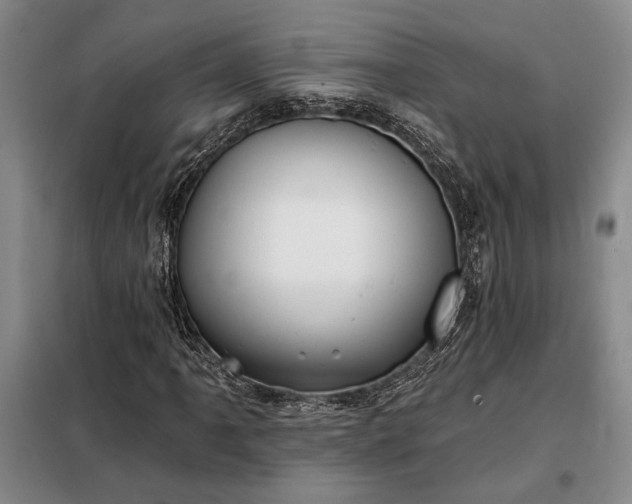 X0000098211061200805011205