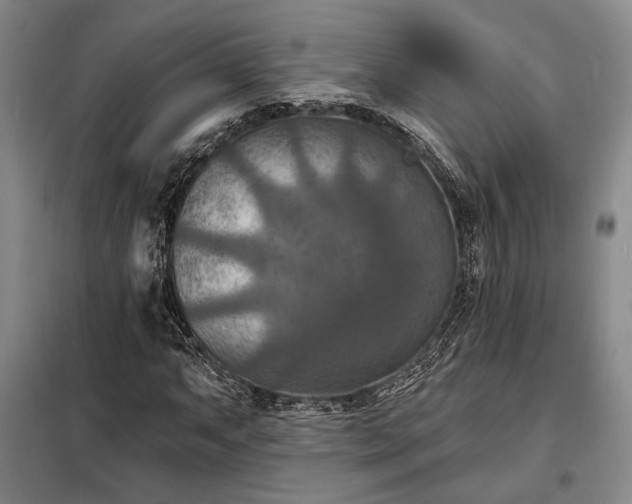 X0000098211063200805011205