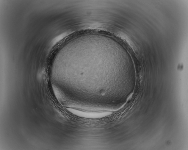 X0000098211064200805011205