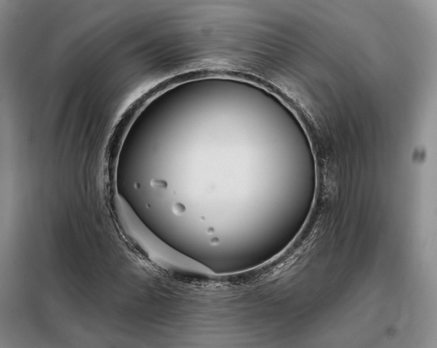 X0000098211070200805011205