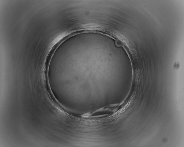 X0000098211071200805011205