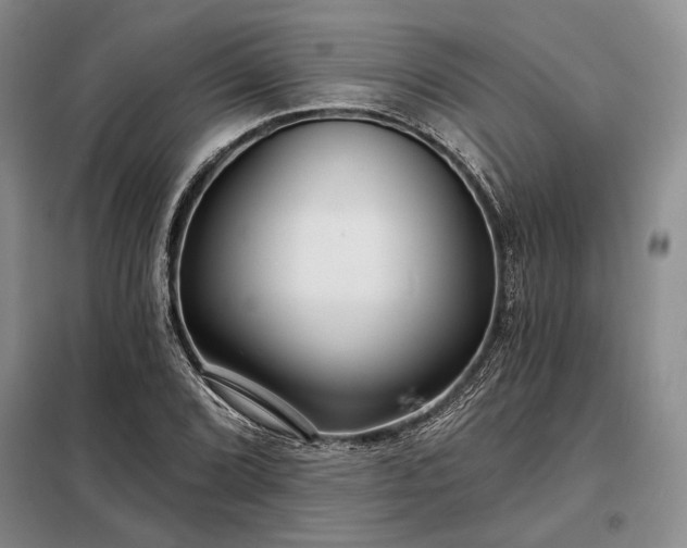 X0000098211072200805011205