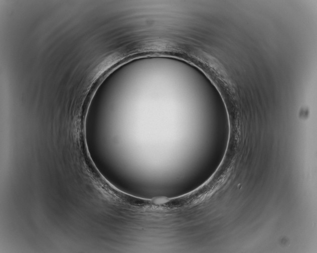 X0000098211073200805011205