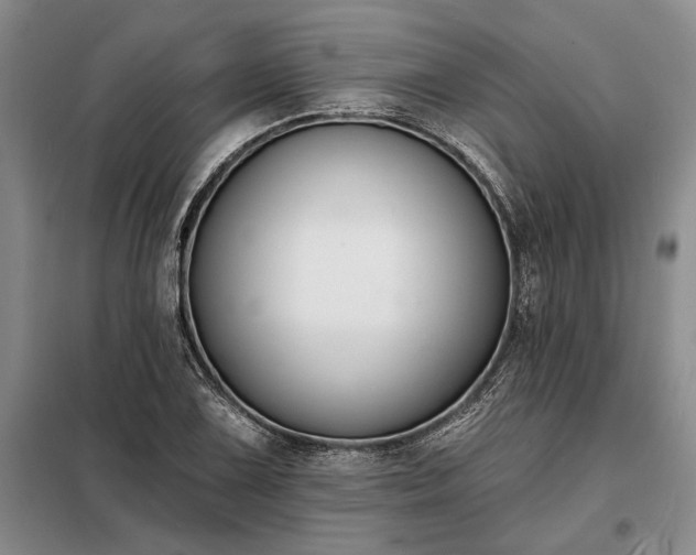 X0000098211075200805011205