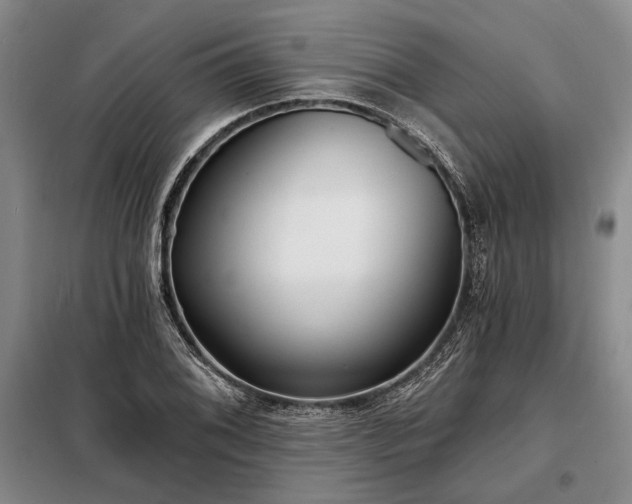 X0000098211076200805011205
