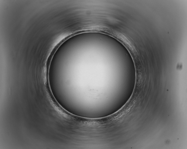 X0000098211079200805011205