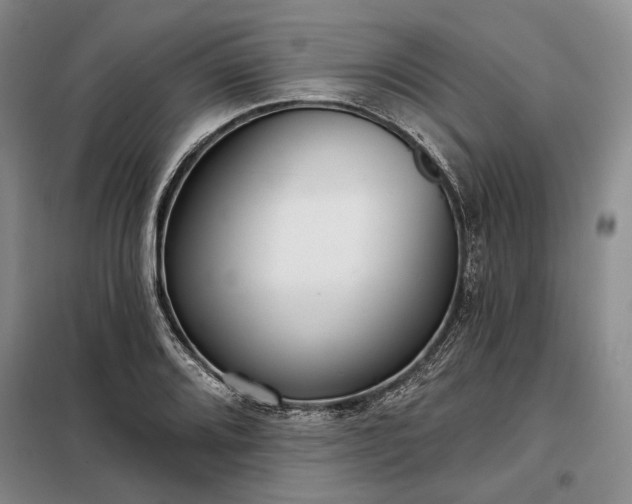 X0000098211080200805011205