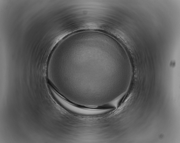 X0000098211081200805011205