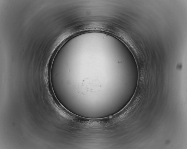 X0000098211082200805011205