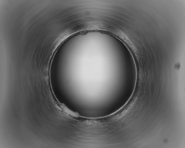 X0000098211089200805011205